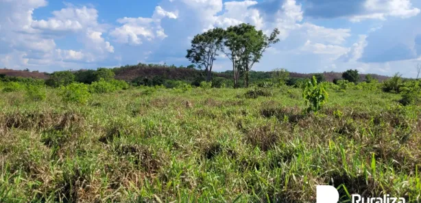 Fazenda / Sítio / Chácara à venda, 1113m² no , Rio Sono