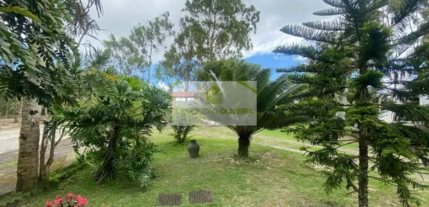 Fazenda / Sítio / Chácara com 3 Quartos à venda, 250m² no , Sairé
