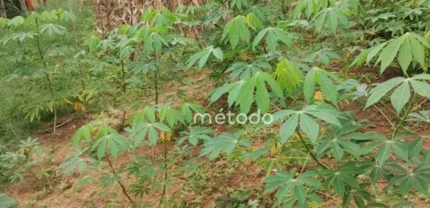 Terreno / Lote / Condomínio à venda, 953m² no Santa Teresa, Santa Branca