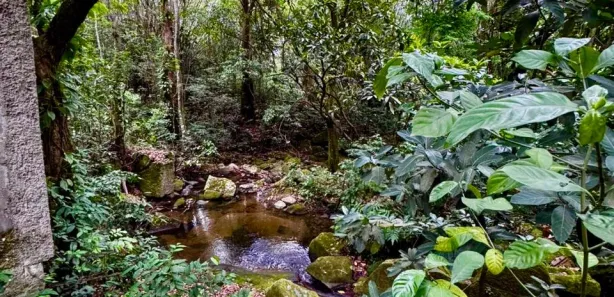 Fazenda / Sítio / Chácara com 3 Quartos à venda, 300m² no Jacarepaguá, Rio de Janeiro