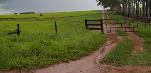 Fazenda / Sítio / Chácara à venda, 16100000m² no , Tacuru