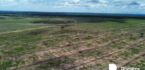 Fazenda / Sítio / Chácara à venda, 1413m² no , Rio Sono