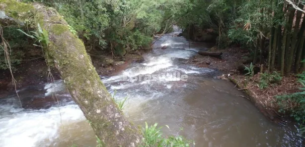 Fazenda / Sítio / Chácara à venda, 4000m² no , Catanduvas