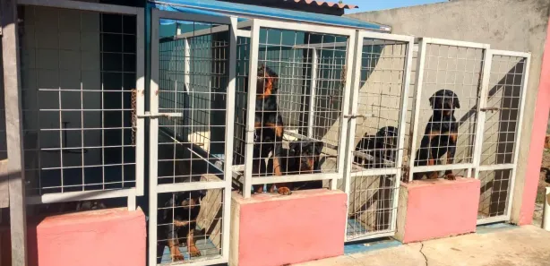 Fazenda / Sítio / Chácara com 5 Quartos à venda, 3000m² no Carafá, Votorantim