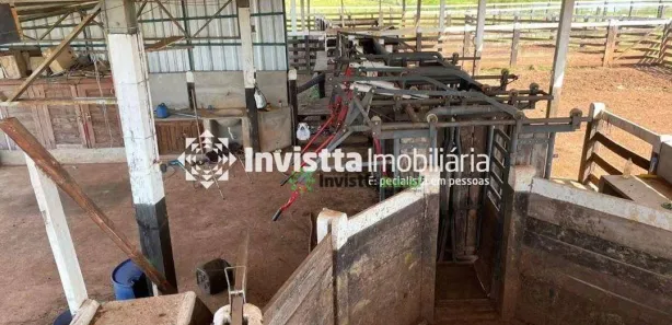 Fazenda / Sítio / Chácara à venda, 1820m² no Centro, Divinópolis do Tocantins