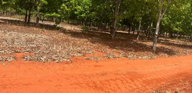 Fazenda / Sítio / Chácara à venda, 136m² no Setor Central, Cristalândia