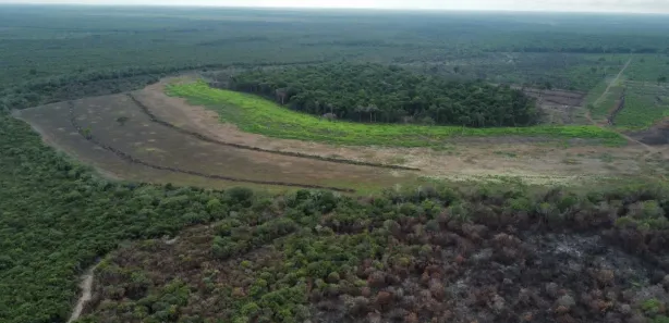 Fazenda / Sítio / Chácara com 3 Quartos à venda, 160m² no , Lagoa da Confusão