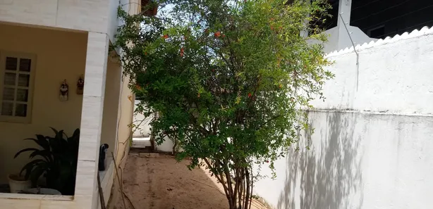 Casa com 4 Quartos à venda, 300m² no , São José da Coroa Grande