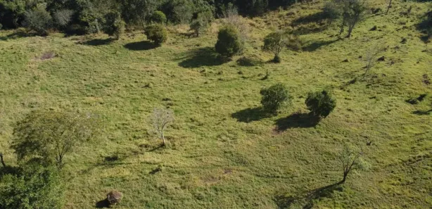 com 1 Quarto à venda, 388m² no Guaraniaçu, Guaraniaçu