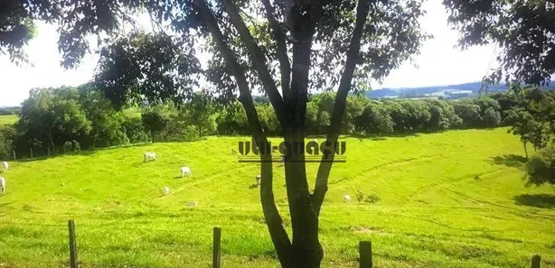 Fazenda / Sítio / Chácara à venda, 363000m² no Fundão, Alambari