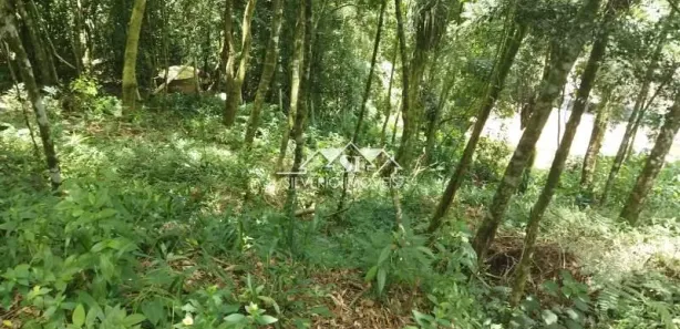 Terreno / Lote / Condomínio à venda, 721m² no Castelanea, Petrópolis