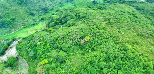 Fazenda / Sítio / Chácara à venda, 450000m² no Alpes Suiços, Gravatá