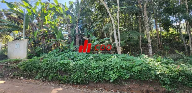 Terreno / Lote / Condomínio à venda, 2554m² no Fazenda Vitoria, São Lourenço da Serra