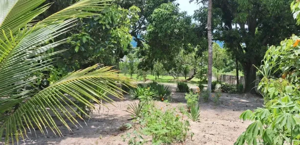 Fazenda / Sítio / Chácara com 4 Quartos à venda, 5000m² no Hararas da Peniche, Tanguá