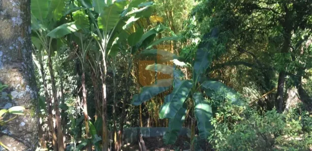 Fazenda / Sítio / Chácara com 3 Quartos à venda, 3200m² no Centro (São João Novo), São Roque