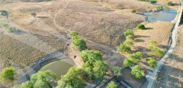 Fazenda / Sítio / Chácara com 4 Quartos à venda, 2950000m² no , Passira