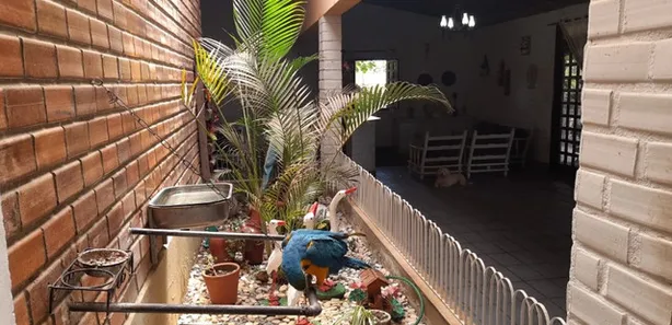 Fazenda / Sítio / Chácara com 8 Quartos à venda, 3000m² no Gravatá Centro, Gravatá
