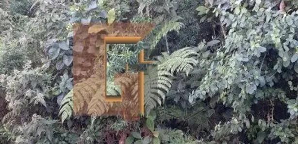 Terreno / Lote / Condomínio à venda, 6360m² no Castelanea, Petrópolis