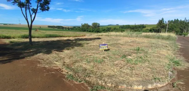 Terreno / Lote / Condomínio à venda, 386m² no Jardim Nova Floresta, Floresta