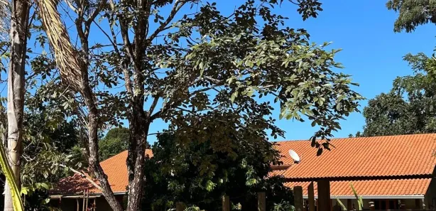 Terreno / Lote / Condomínio à venda, 1500m² no , Bela Vista de Goiás