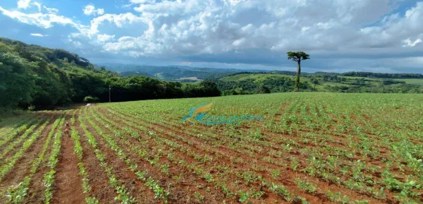 Fazenda / Sítio / Chácara à venda, 72600m² no , Catanduvas