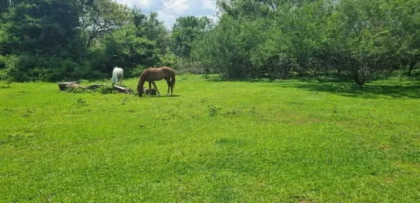Terreno / Lote / Condomínio à venda, 8700m² no Jardim Nova Limeira, Limeira