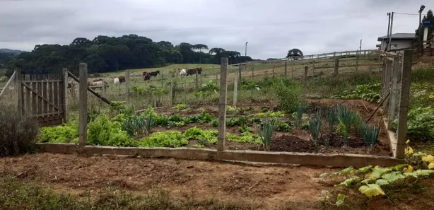 Fazenda / Sítio / Chácara com 2 Quartos à venda, 24100m² no , Contenda