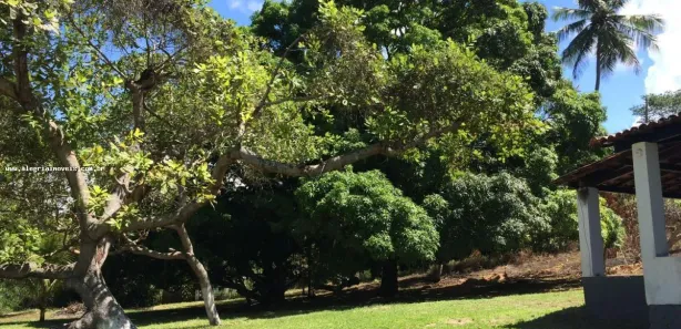Casa com 3 Quartos à venda, 290m² no Barra do Pojuca (Monte Gordo), Camaçari