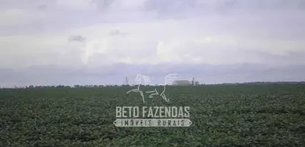 Fazenda / Sítio / Chácara à venda, 999999999m² no , Paraíso do Tocantins