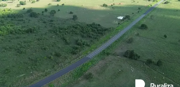 Fazenda / Sítio / Chácara à venda, 261m² no , Bernardo Sayão