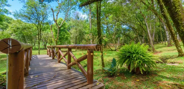 Fazenda / Sítio / Chácara com 4 Quartos à venda, 10m² no Colônia Balbino Cunha, Campo Largo