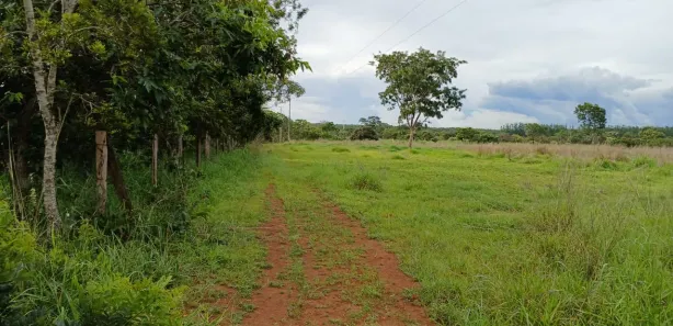 Fazenda / Sítio / Chácara à venda, 100000m² no Área Rural de Santo Antônio do Descoberto, Santo Antônio do Descoberto