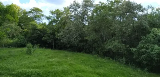 Fazenda / Sítio / Chácara com 2 Quartos à venda, 91960m² no Centro, Capivari