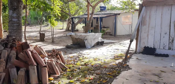 Terreno / Lote / Condomínio com 1 Quarto à venda, 10000m² no , Prado