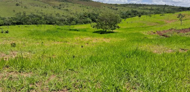 Fazenda / Sítio / Chácara com 3 Quartos à venda, 200000m² no Área Rural de Formosa, Formosa
