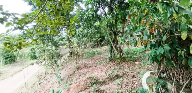 Fazenda / Sítio / Chácara com 2 Quartos à venda, 86m² no Veraneio Irajá, Jacareí