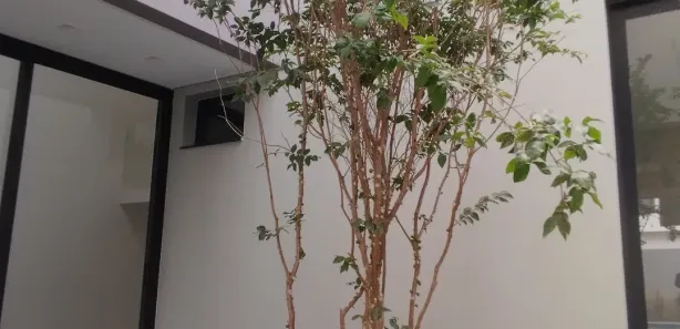 Casa de Condomínio com 4 Quartos à venda, 240m² no Boa Esperança, Petrolina