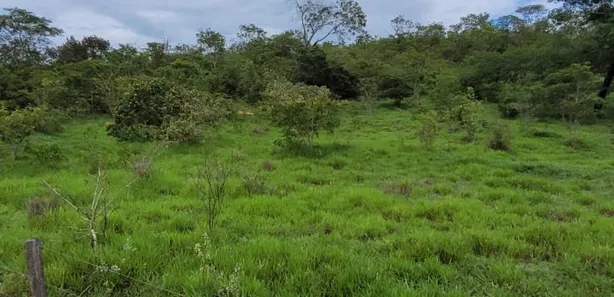 Fazenda / Sítio / Chácara à venda, 5808000m² no , Padre Bernardo