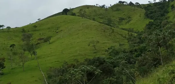 Fazenda / Sítio / Chácara à venda, 480000m² no Visconde de Mauá, Resende