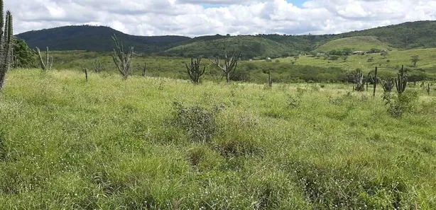 Fazenda / Sítio / Chácara com 3 Quartos à venda, 100m² no Alpes Suiços, Gravatá