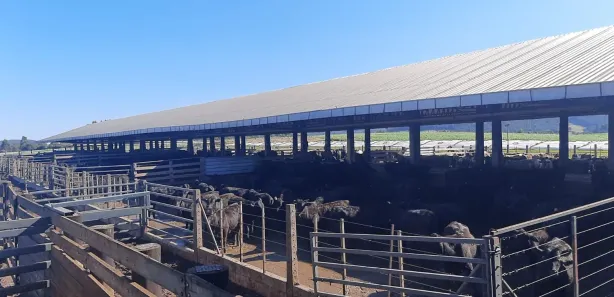 com 1 Quarto à venda, 65m² no Guaraniaçu, Guaraniaçu