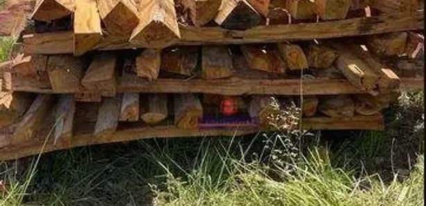 Fazenda / Sítio / Chácara com 1 Quarto à venda, 2260000m² no , Itapecuru Mirim