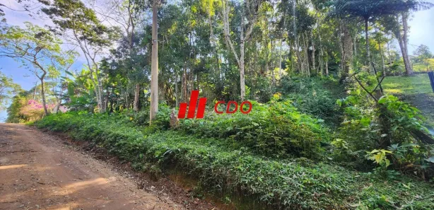 Terreno / Lote / Condomínio à venda, 2554m² no Fazenda Vitoria, São Lourenço da Serra
