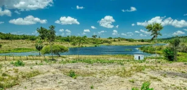 Fazenda / Sítio / Chácara com 4 Quartos à venda, 580000m² no , Brejinho