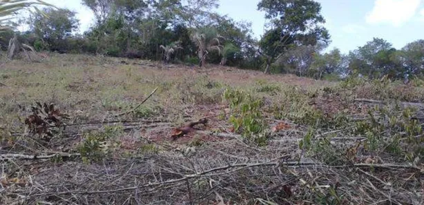 Terreno / Lote / Condomínio à venda, 40000m² no Barra do Jacuípe (Monte Gordo), Camaçari