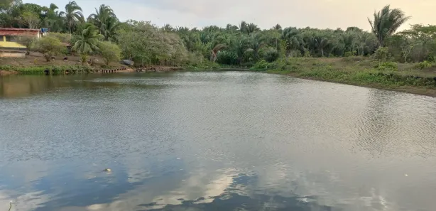 Terreno / Lote Comercial à venda, 3330000m² no , Bacabeira