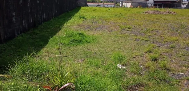 Galpão / Depósito / Armazém à venda, 540m² no PoloPlast, Camaçari
