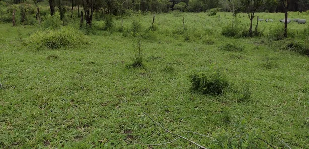 Terreno / Lote / Condomínio à venda, 20000m² no , Fortuna de Minas