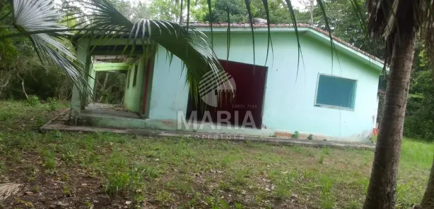 Fazenda / Sítio / Chácara à venda, 50000m² no Ebenezer, Gravatá