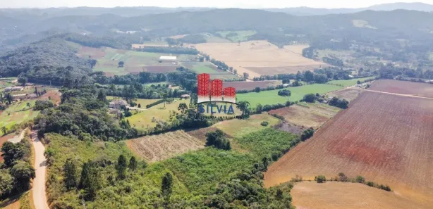 Fazenda / Sítio / Chácara com 9 Quartos à venda, 650m² no Botiatuba, Almirante Tamandaré